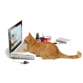 Cattop – Laptop-Kratzbaum für die Katz
