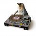 Gato Dj - Rascador divertido para gatitos con forma de tocadiscos